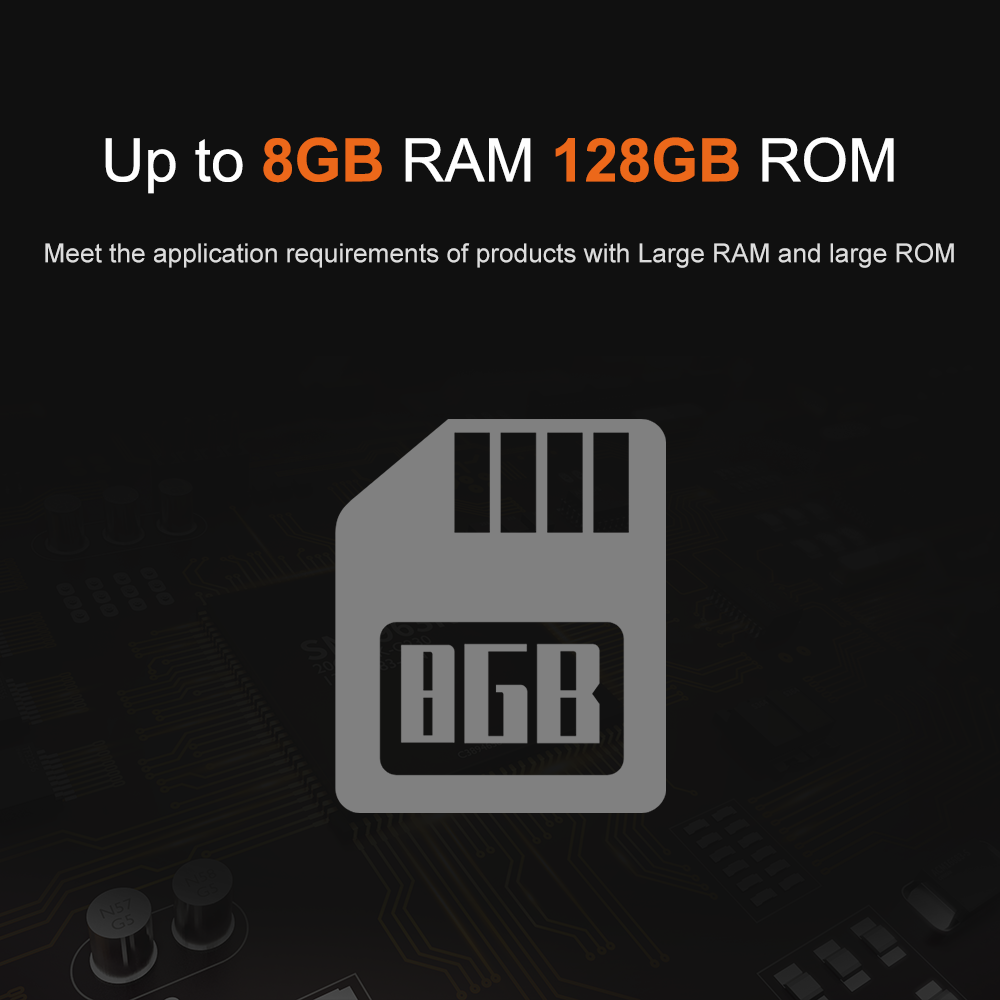 Liontron RK3566 DDR4 8 Go de R - Open Vending Machine avis et prix